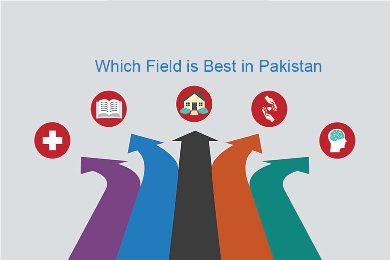 Best Field in Pakistan